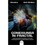 Conexiunea în fractal. Legile și principiile de funcționare a Universului